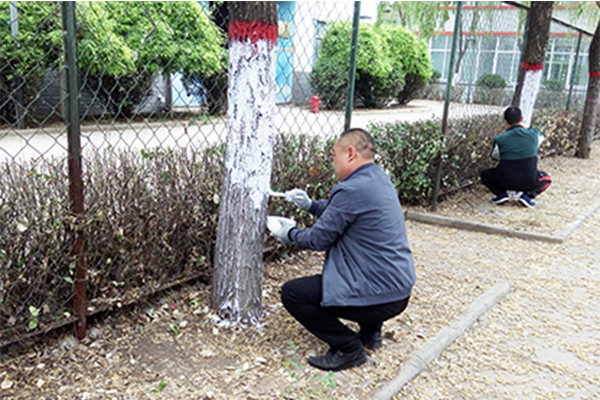 科海集團(tuán)“美化環(huán)境保護(hù)樹(shù)木”活動(dòng)紀(jì)實(shí) 科海集團(tuán)“美化環(huán)境保護(hù)樹(shù)木”活動(dòng)紀(jì)實(shí)